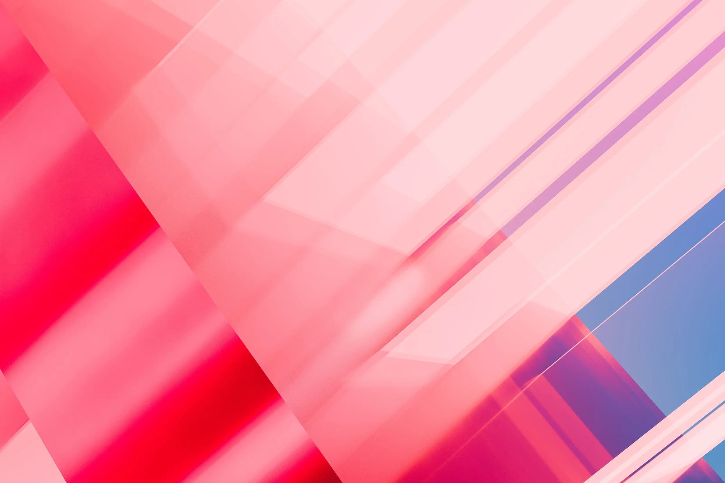 When Should a Startup Hire Its First Designer? Timing Your Most Critical Hire